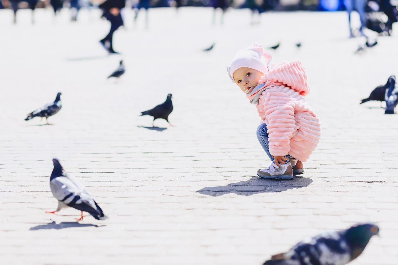 Hypnose kan fjerne fuglefobi. Børn er ikke født med angst for fugle. Barn på torv med duer.